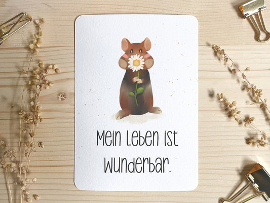 Affirmationskarte für Kinder - Hamster